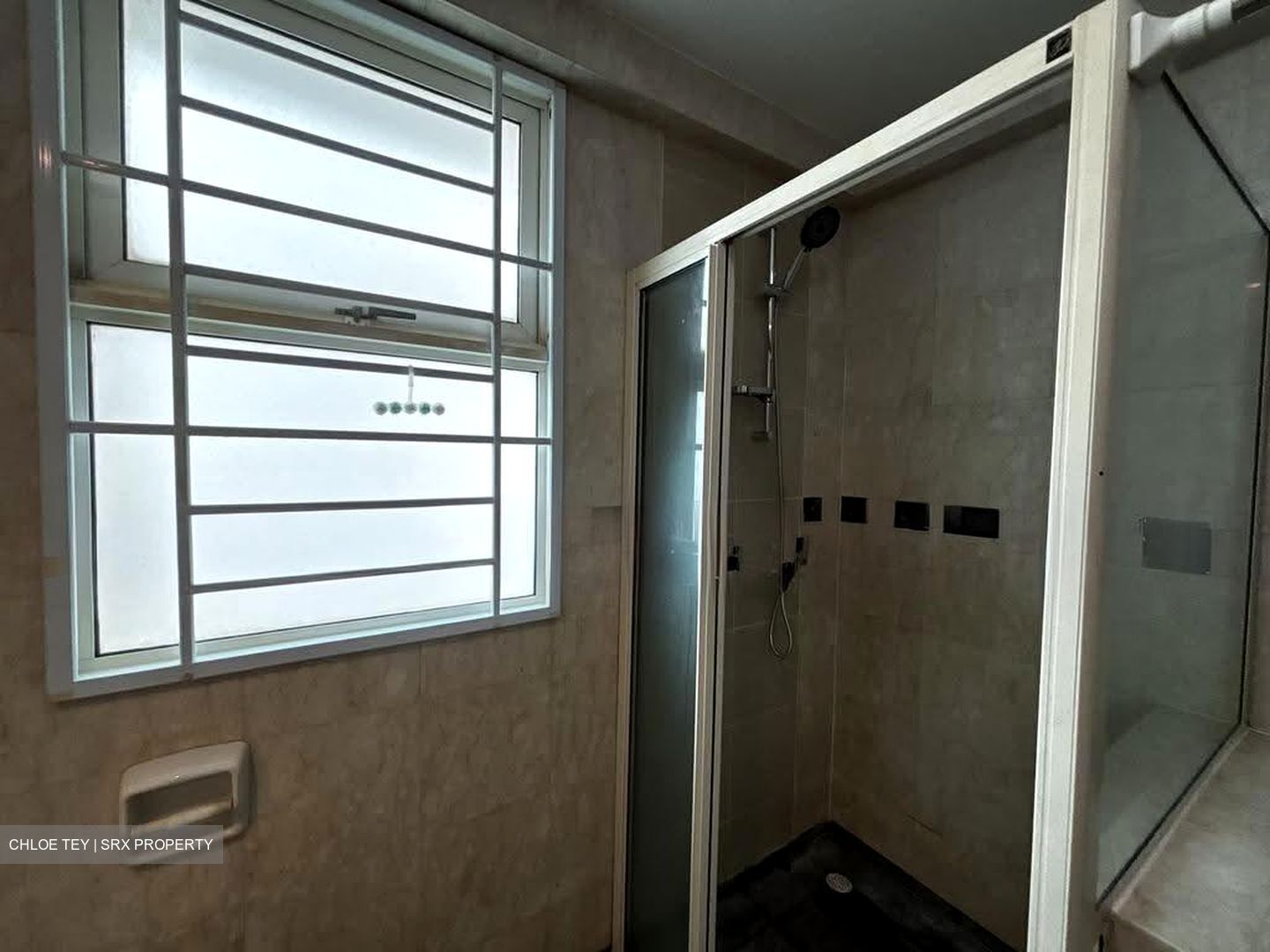 Evergreen Park (D19), Apartment #611986721